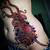 octopus tattoo stomach
