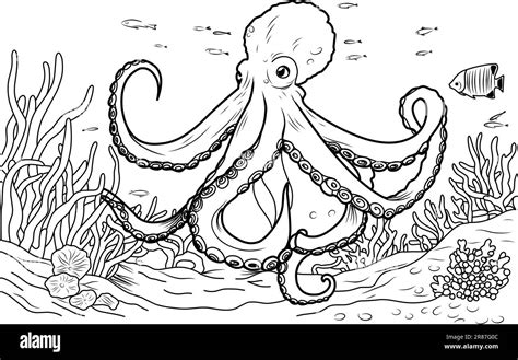 Octopus Colouring Book