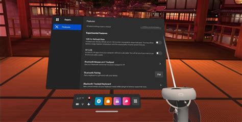 Oculus Quest Device Settings