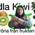 odla kiwi från frö