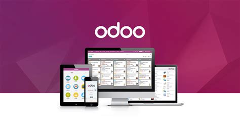 Odoo Website Developer