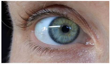 Oeil Bleu Vert Gris Tutoriel Maquillage Yeux s Maquillage Cynthia