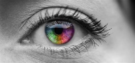 Ce que la couleur de vos yeux révèle sur votre partenaire sexuel idéal