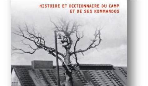 Commémoration: Le «Che» est mort il y a 50 ans. Le connaissez-vous