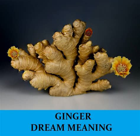 Unlock the Dark Side: Exclusive SecretIII Porn Secrets No One Talks About!