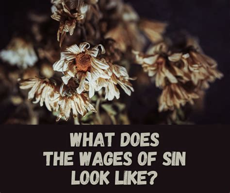 of sin wages