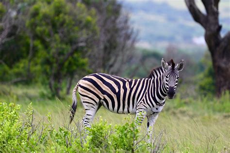 off jacking nude men