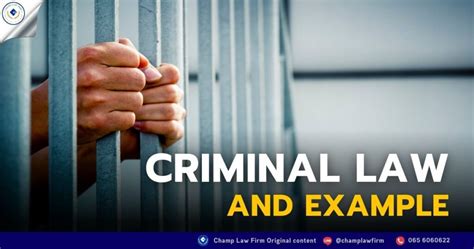 offense in criminal law example