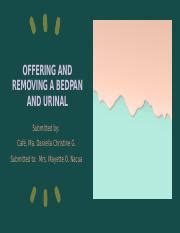 Offering Bedpan And Urinal Slideshare