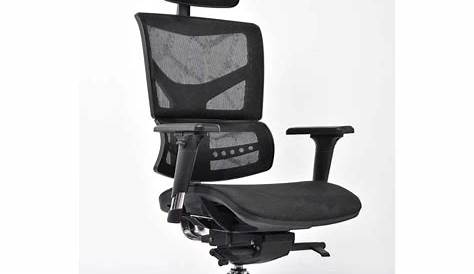 Office Chair Singapore Ergonomic 11 Best s In From 198 Without Backaches