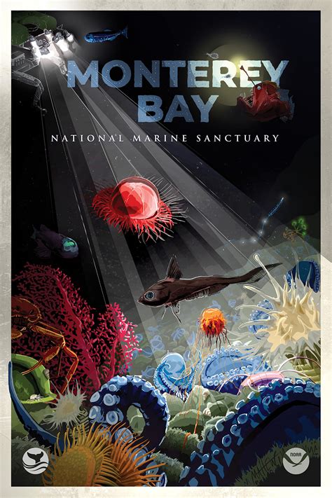office of national marine sanctuaries