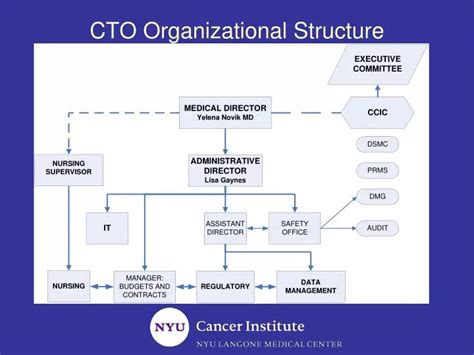Office Of The Cto Structure