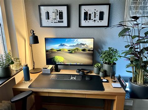 Office Setup Options