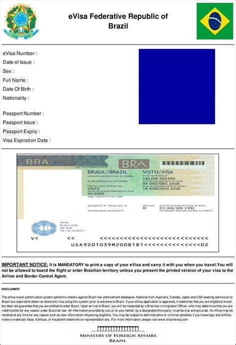 official brazil visa application