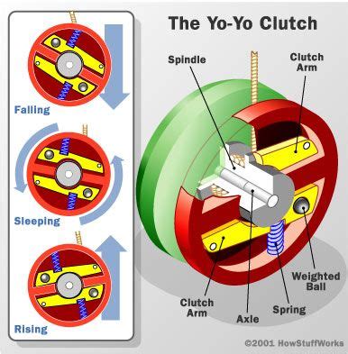 offset yoyo diagram