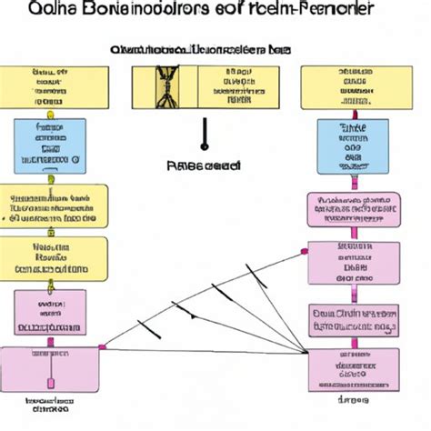 Unravel the Wonders of Nature: A Comprehensive Guide to Offspring Development and Genetic Principles