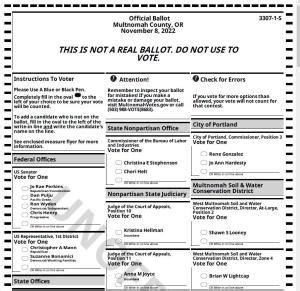 ohio voting 2022 sample ballot