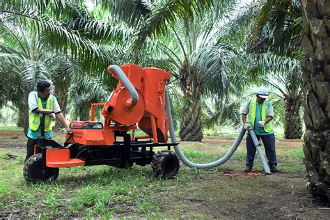 Oil Palm Fruit Harvester: An Introduction