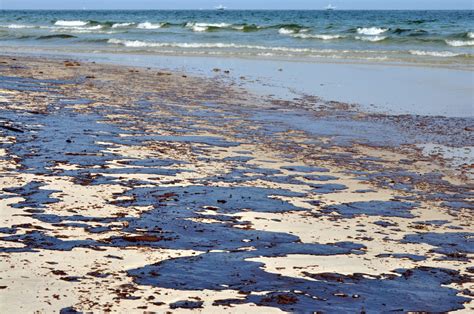 The Deepwater Horizon oil spill was 8 years ago. The ocean