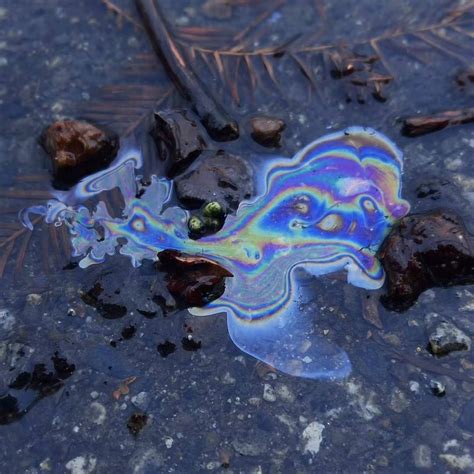 oil slick 3