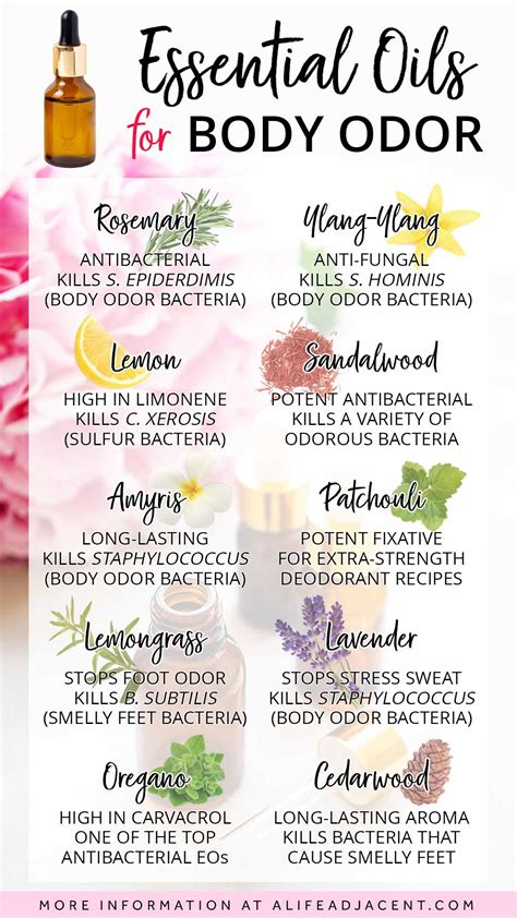 Oils For Body Odor