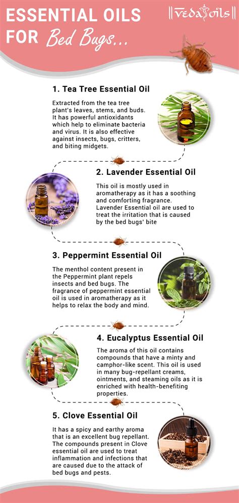 Oils To Prevent Bed Bugs