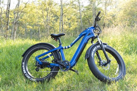 OKAI EB50 Ranger Electric Bike 45 Miles Range & 20MPH Touchscreen