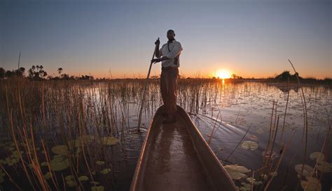 When is the Best Time to Visit The Okavango Delta? Bench Africa