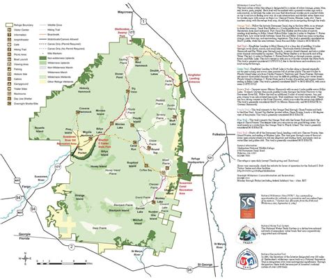 Canoe Trip to Okefenokee NWR