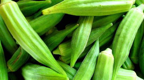 Okra Origin Place