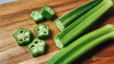 Okra Seed Shape