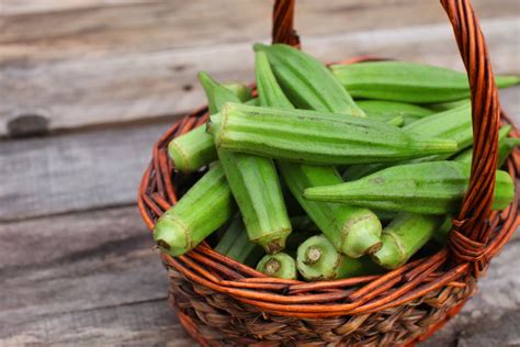 okra when to pick