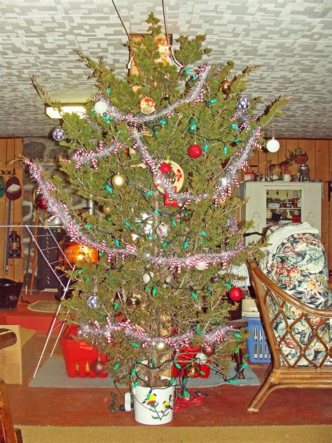 The Beauty Of An Old-Fashioned Christmas Tree