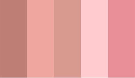 Old Rose Color Palette Submitted By Simplyharryp Dd5566 993344