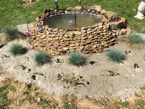 Pond made from an old tractor tire. Needs some rocks and flowers. My