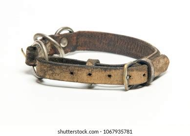 Old Dog Collar