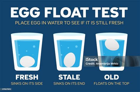 Old Eggs Float In Water