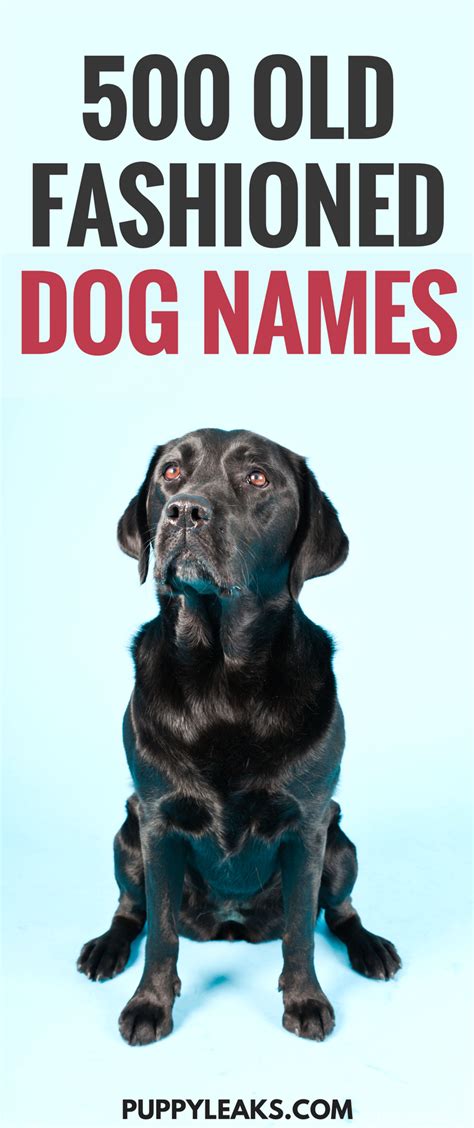 Old Fashioned Dog Names Male