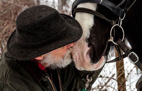 old man and his horse parable