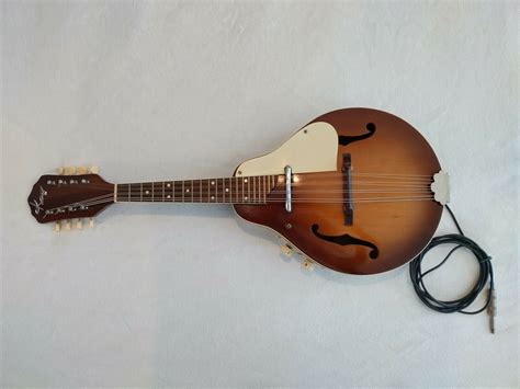 old mandolin with pickup