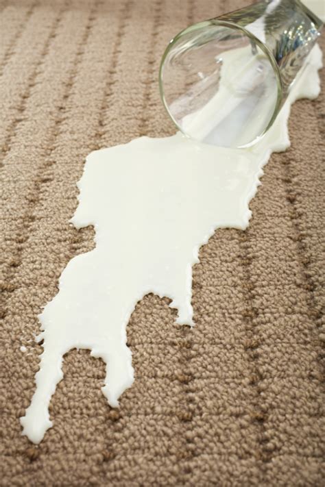 old milk spilled on carpet