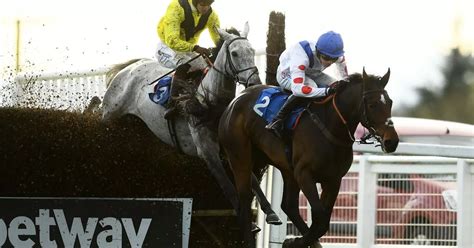 Cool Old Roan Chase 2022 Latest