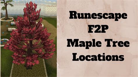 old school runescape maple tree locations f2p