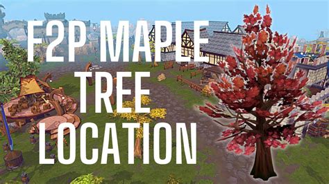 old school runescape maple trees free to play