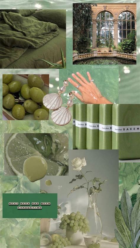Sage Green Collage Kit Light Green Olive Aesthetic Wall Etsy