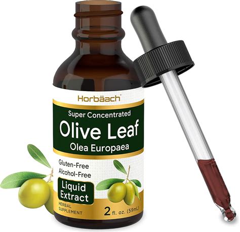 Home made Olive Oil Leaf Wrap Recipes