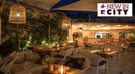 Olive Cafe Chandigarh