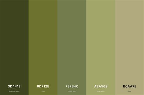 olive green hexadecimal code