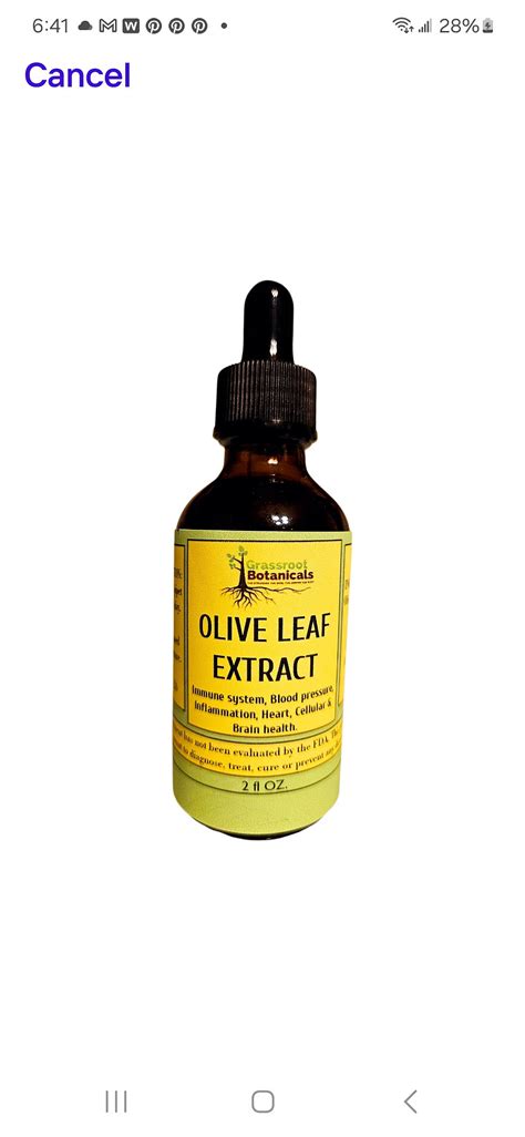 Olive Leaf Extract Drug Interactions
