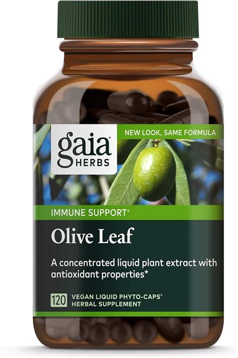 Olive Leaf Extract Immune Support